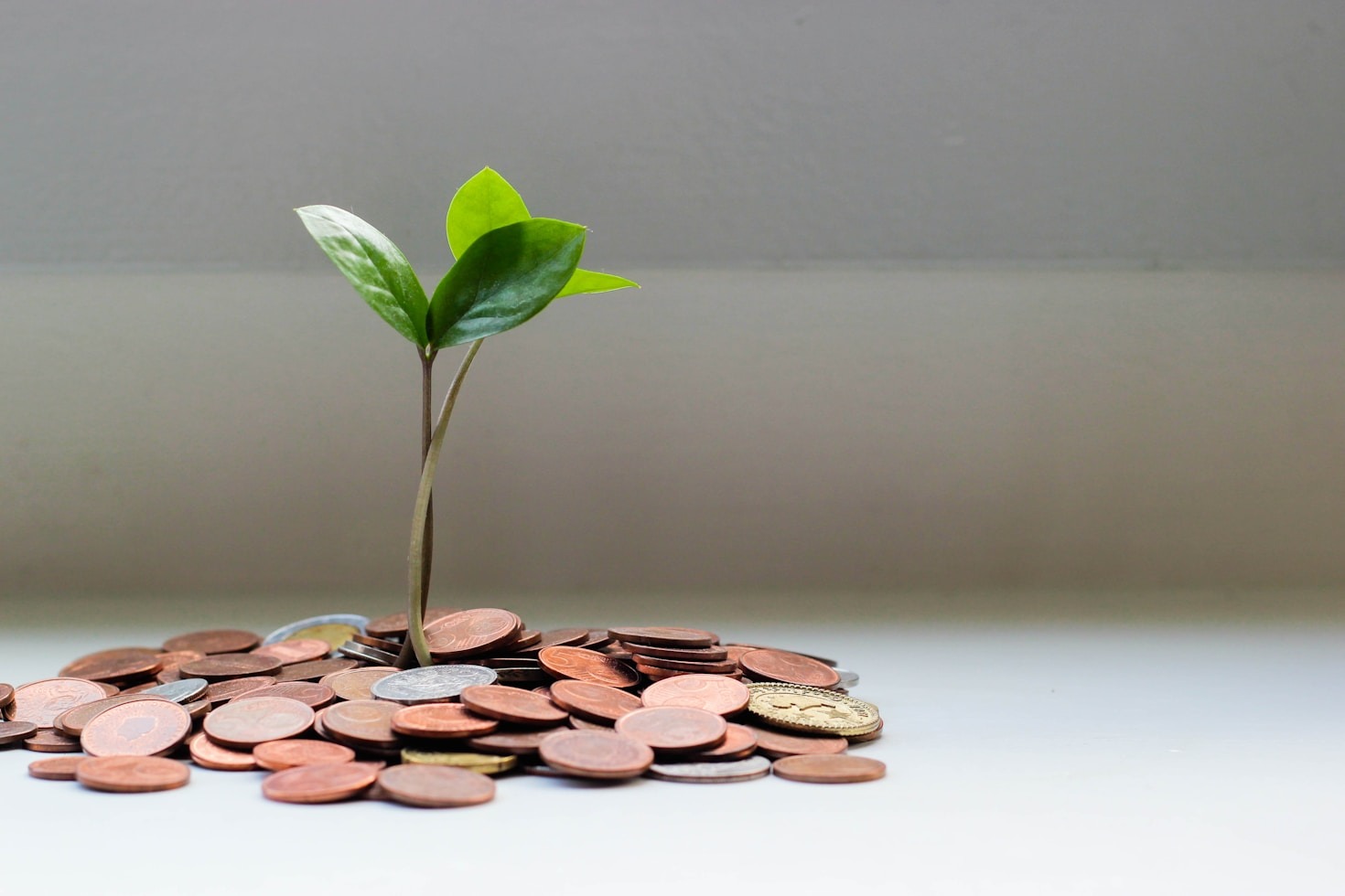 10 Simple Tips for a Luxe Life on a Budget